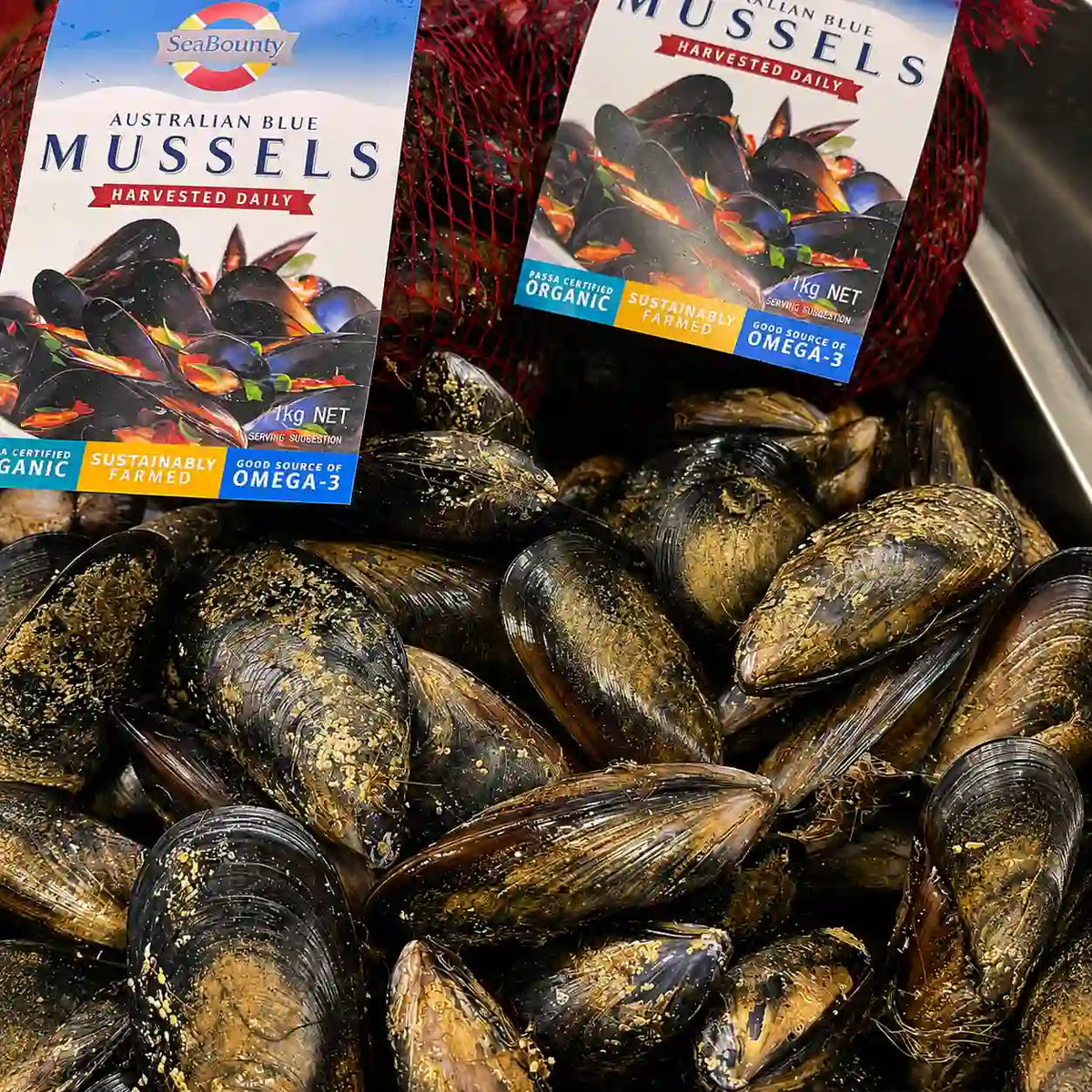 A close-up of Sea Bounty Australian Blue Mussels harvested daily, showing the retail packaging cards propped above a pile of dark blue mussels in a market-style display.