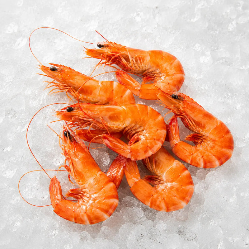 Several bright orange-red raw shrimp prawns arranged on a bed of crushed ice.