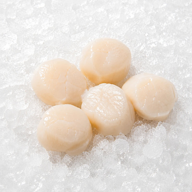 Four peeled scallops arranged on a bed of crushed ice.