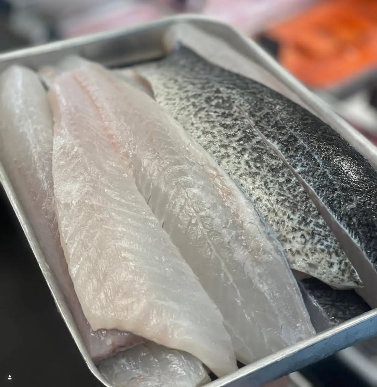 Fresh fish fillets and a whole fish with dark speckled skin in a metal tray, photographed close up.
