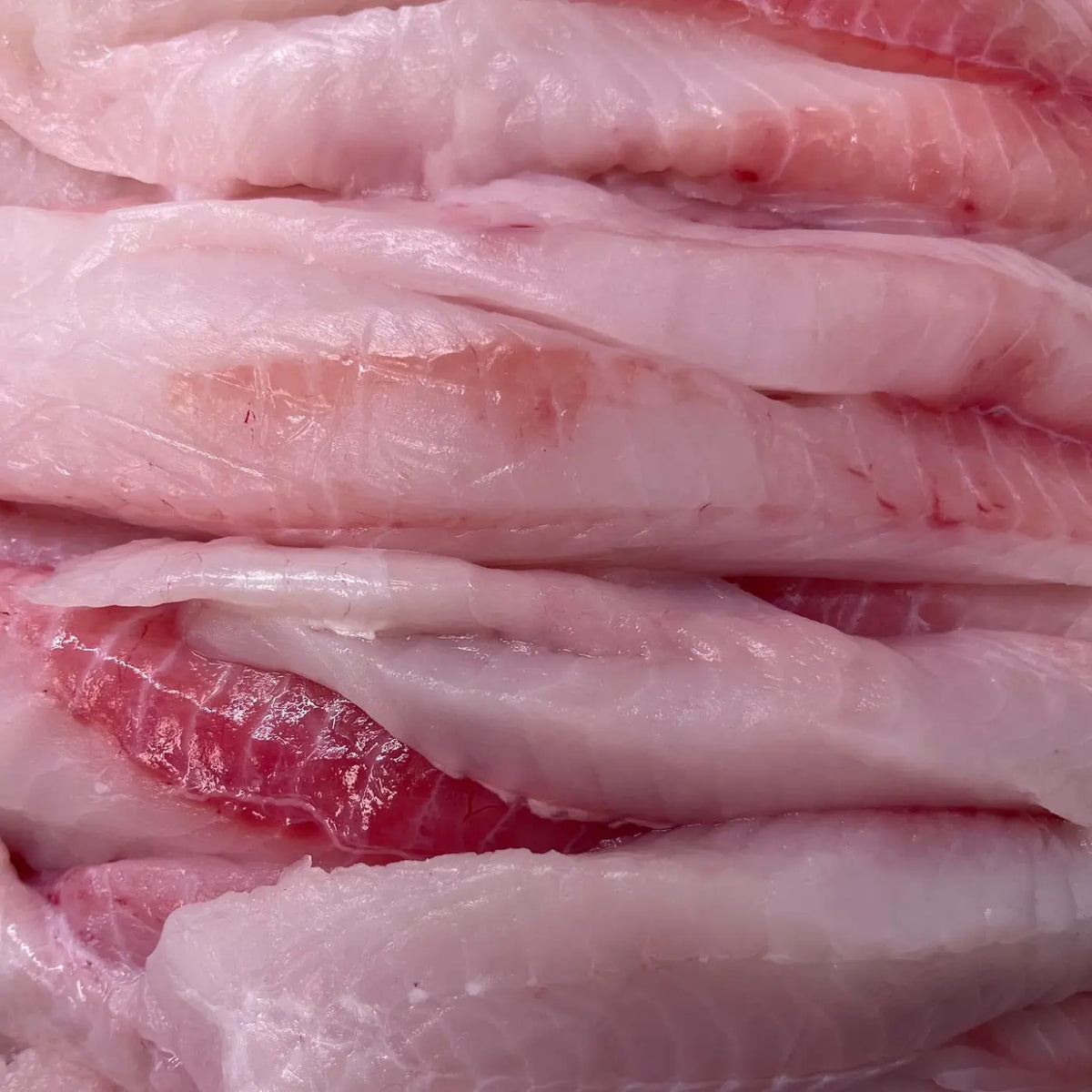 Close-up of raw white fish fillets with visible pinkish-red muscle and fat layers.