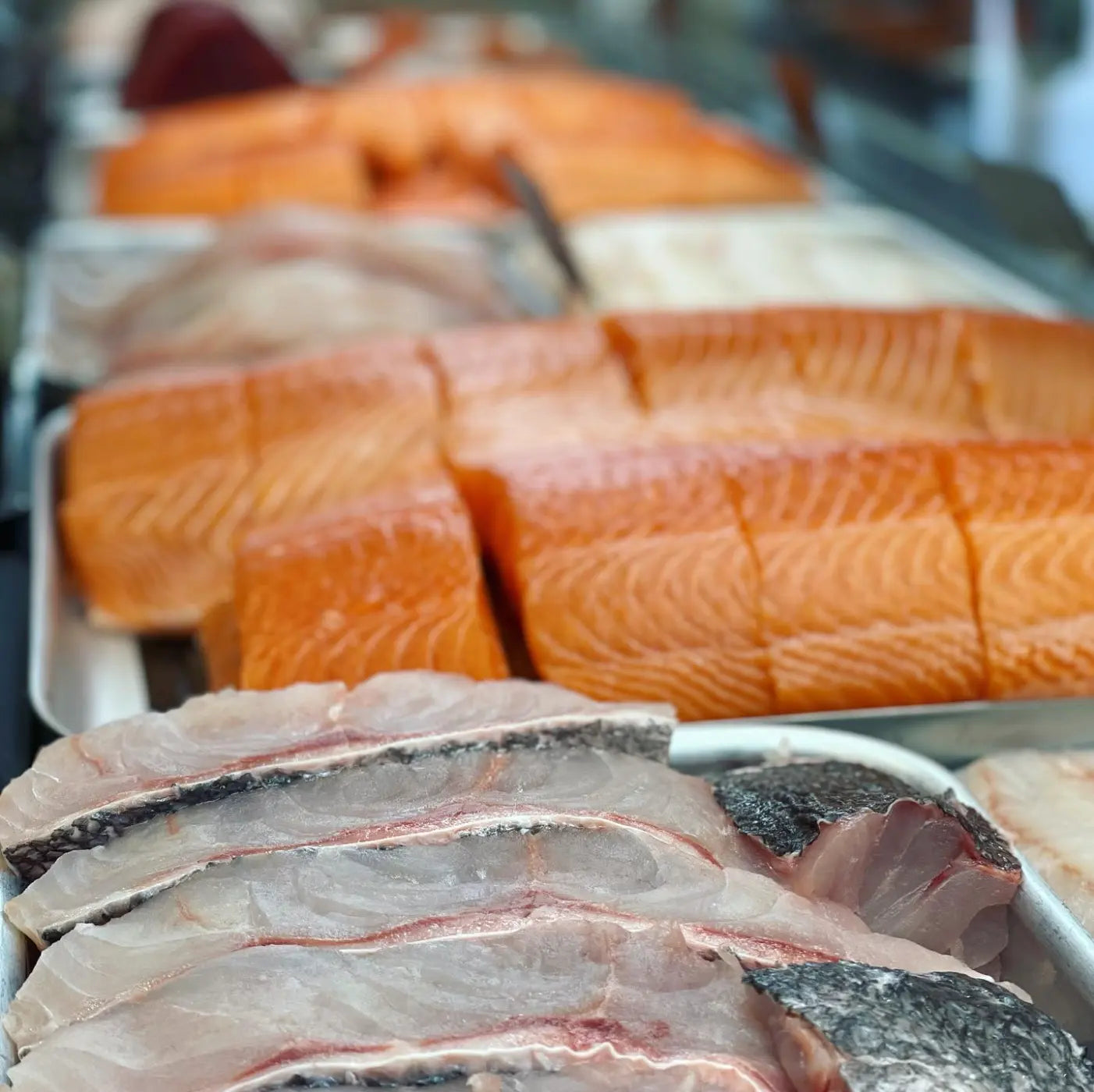 Fresh salmon fillets with orange-pink flesh and white skin, alongside sliced white fish with dark skin, displayed on metal trays.